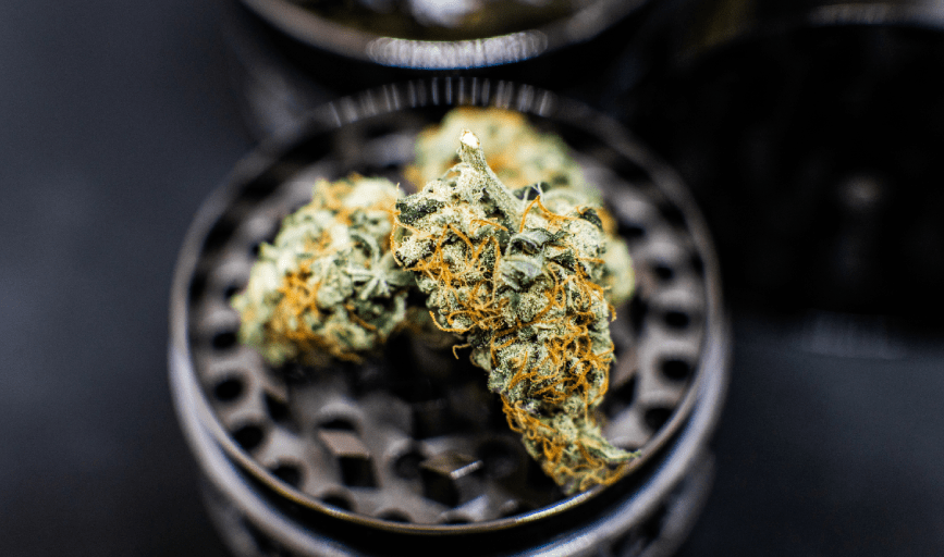 THCA Flowers